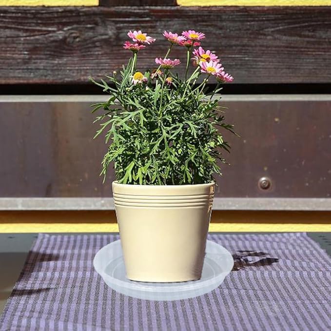 Plant Saucer 2 Pack of 10 inch, Clear Plastic Flower Plant Pot Saucer, Heavy Duty Plant Drip Trays Saucers for Indoor, Plant Water Tray for Planters