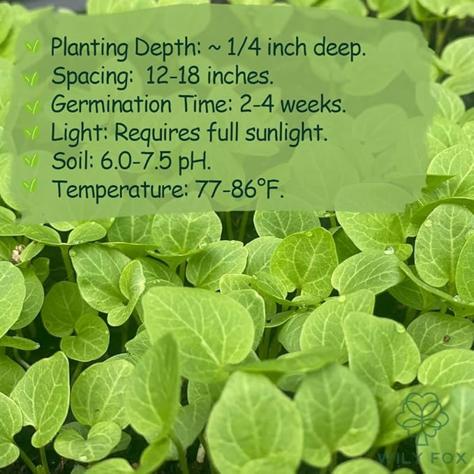 Premium Rare Hollyhock Seeds – 400+ Double Hollyhock Flower Seeds – Non-GMO, Heirloom Perennial – Showy Blooms for Outdoor Planting (Double Hollyhock Mix)