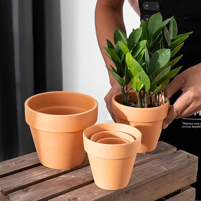 OLEEP Clay Pot - 10 Pack Large Terra Cotta Plant Pot with Drainage Hole, Clay Planters Pot, Terracotta Pot for Indoor Outdoor Plant (5.5 inch)