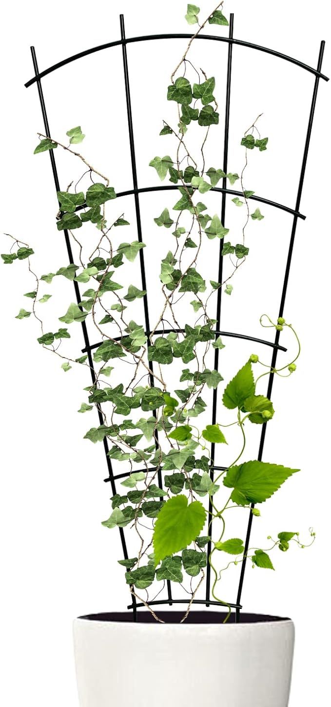 4 Pack 23'' Indoor Plant Trellis for Potted Plants Climbing, Outdoor Metal Garden Trellis Houseplants Flowers Vine Ivy,Fan Shape, Black