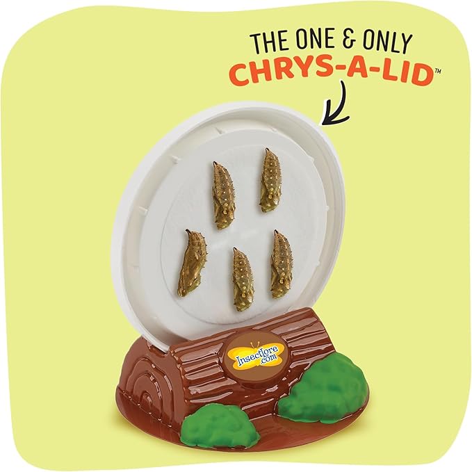 Insect Lore Butterfly Garden Kit with Live Caterpillars – Grow 10 Painted Lady Butterflies | STEM Learning Activity, Habitat with Journal, Stickers, Seeds & Figurines | As Seen on TV