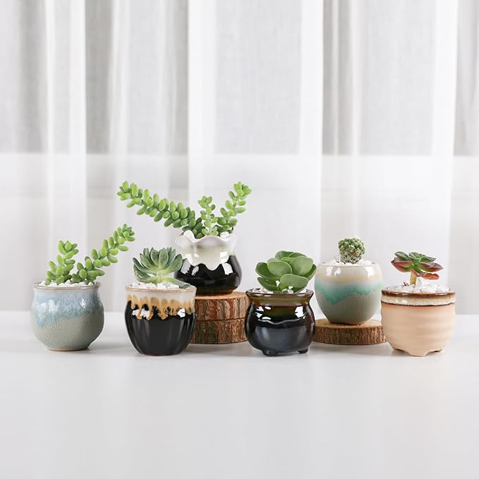 T4U Small Ceramic Succulent Pots with Drainage Set of 12, Mini Pots for Plants, Succulent Plant Gifts for Women, Tiny Air Plant Flower Pots Cactus Faux Plants Containers, Home and Office Decor