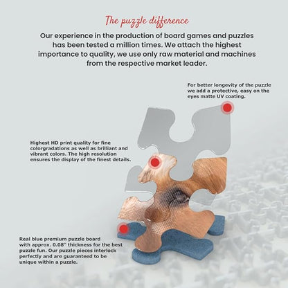 MyPuzzle Pluto: Meteor Showers, Vintage Poster - Premium 500 Piece Jigsaw Puzzle for Adults