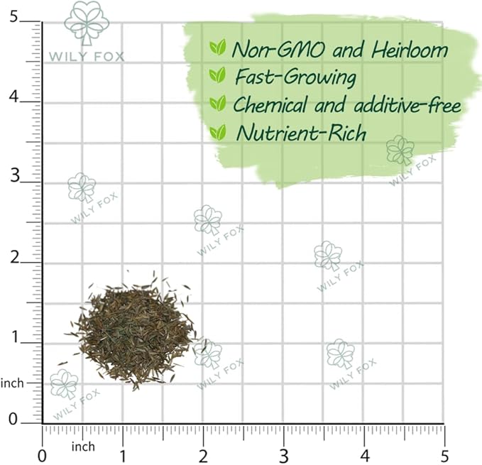 Premium Taraxacum Dandelion Seeds - 5000 Non-GMO Heirloom Purple-Stem Dandelion Seeds for Planting, Herbal Tea & Pollinators –Most Medicinal Variety (Taraxacum)