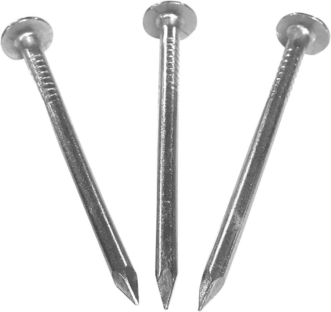 Eagle 1-26 Gauge 5 Foot Rain Diverter - Nails and Instructions Included (Mill Finish Aluminum, Copper, Galvanized, Stainless Steel & More) (2, Green)