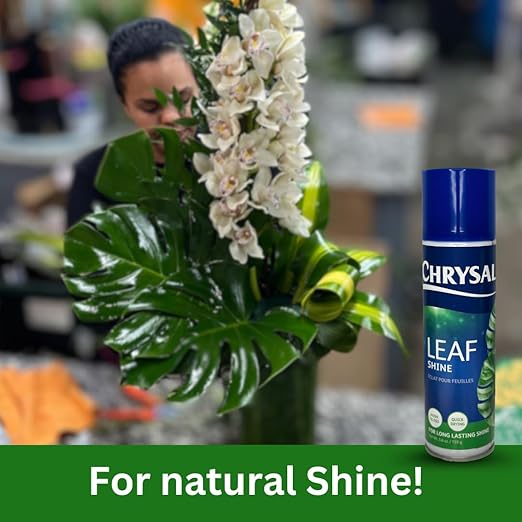 Chrysal LeafShine Spray for Indoor Plants - 5.6 oz