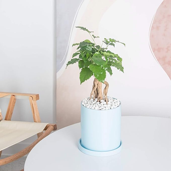 Planters for Indoor Plants Ceramic Flower Succulent Plant Pots with Drain Hole Saucer Decor for Home Office (5 inch Blue)