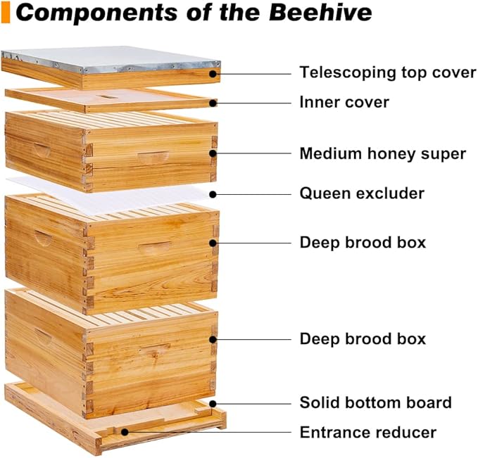 POLLIBEE 10 Frame Langstroth Beehive, Beeswax Coated Bee Hives for Bee Keeper,Beehive Include 2 Deep Bee Boxes and 1 Medium Bee Hive Box with Frame and Foundation(Unassembled)