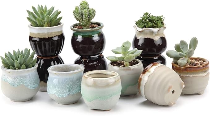 T4U Small Ceramic Succulent Pots with Drainage Set of 12, Mini Pots for Plants, Succulent Plant Gifts for Women, Tiny Air Plant Flower Pots Cactus Faux Plants Containers, Home and Office Decor
