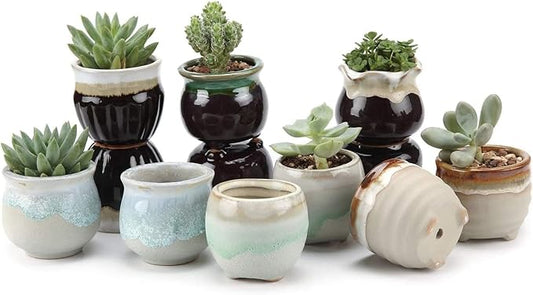 T4U Small Ceramic Succulent Pots with Drainage Set of 12, Mini Pots for Plants, Succulent Plant Gifts for Women, Tiny Air Plant Flower Pots Cactus Faux Plants Containers, Home and Office Decor