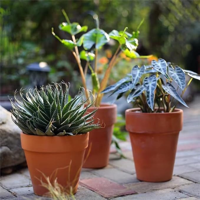 OLEEP Clay Pot - 12 Pack Large Terra Cotta Plant Pot with Drainage Hole, Clay Planters Pot, Terracotta Pot for Indoor Outdoor Plant (4.7 inch)
