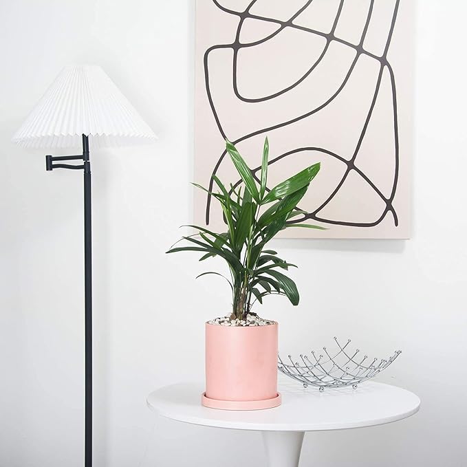 Planters for Indoor Plants Ceramic Flower Succulent Plant Pots with Drain Hole Saucer Decor for Home Office (6 inch Pink)