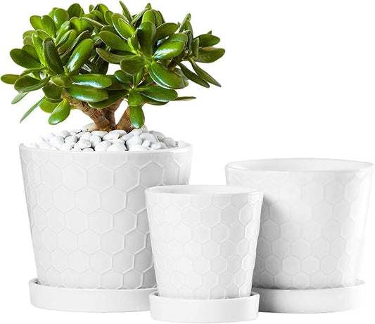 Plant Pots – 4”+5”+6” inch Ceramic Planter with Drainage Holes and Ceramic Tray - Gardening Home Desktop Office Windowsill Decoration Gift Set 3 - Plants NOT Included (White)
