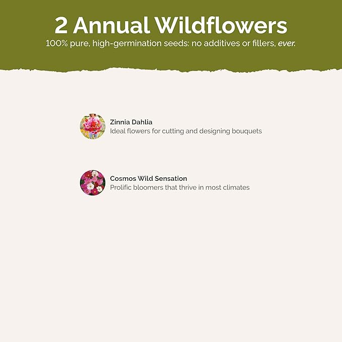 Eden Brothers Cosmic Zen Flower Mixed Seeds for Planting, 1/4 lb, 120,000+ Seeds with Zinnia Dahlia Flowered, Cosmos Sensation | Attracts Pollinators, Plant in Spring, Zones 3, 4, 5, 6, 7, 8, 9, 10