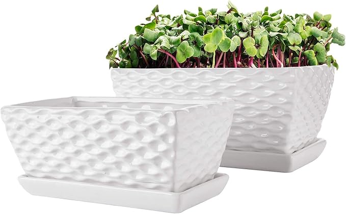 Brajttt Flower Pots,Rectangular Modern White Ceramic Succulent Pots with Drainage, Garden Pots with Hole, Ceramic Pots, Planter Box with Saucer 2 Set