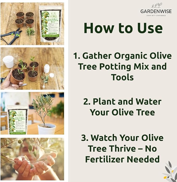Organic Olive Tree Potting Mix – Fast-Draining, Nutrient-Rich Soil for Indoor & Outdoor Olive Trees – Mediterranean Plant Care – Long-Lasting Formula (1 Quart)