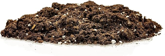 Premium Dracaena Potting Soil Mix - (20 Quart Bag)