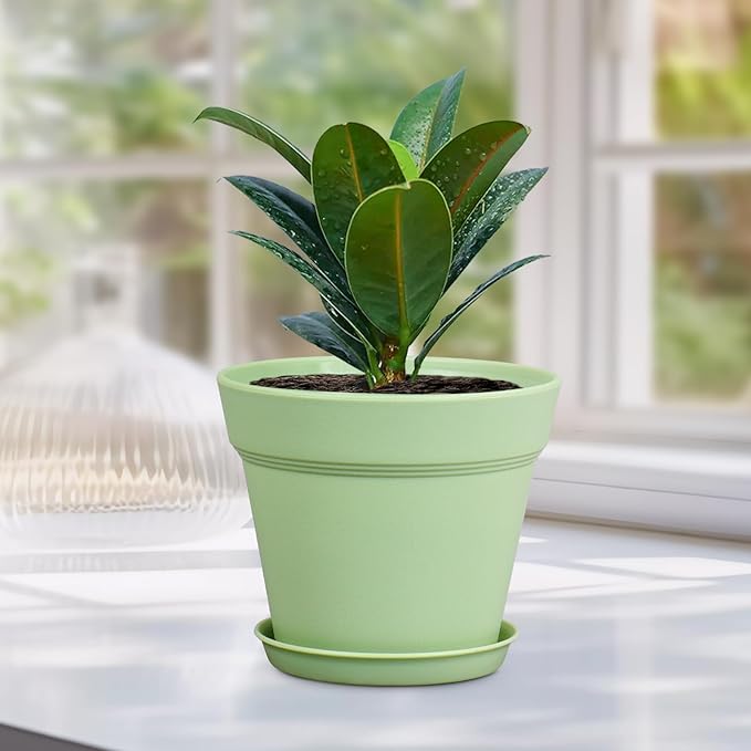 6 inch Plastic Nursery Pots, 16 Pack Plant Pots for Small Indoor Outdoor Plants, Flower Pots with Drainage Holes and Saucers, Decorative Seeding Starter Planters for Houseplants, Green