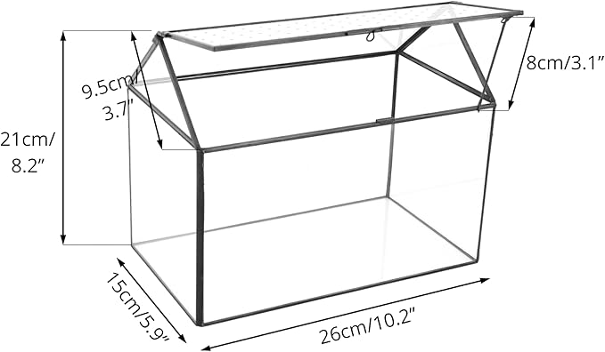 NCYP House Shape Glass Terrarium with Acrylic Lid - 10.2x5.9x8.2 Inches Large Geometric Box for Snails, Ferns, Succulents, Air Plants, Indoor Tabletop Decor, Handmade (Terrarium Only)