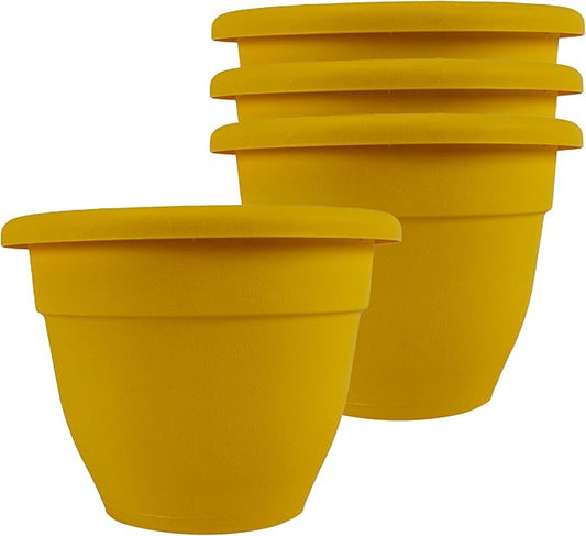 The HC Companies Caribbean Planter Pot - Outdoor & Indoor Plant Pot with Drainage Hole & Plug - Rolled Rim Plastic Pots for Plants & Flowers - Decorative Plant Pot (8" Honey, Pack of 4)