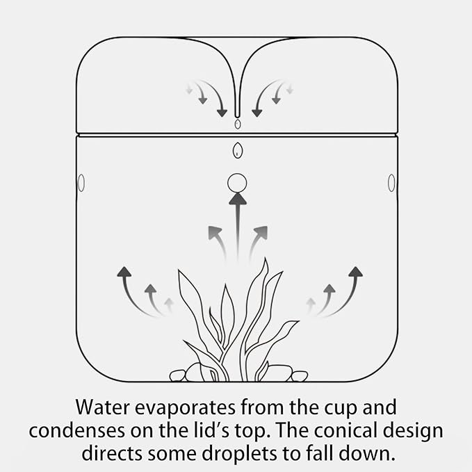 SARUFO Small Glass Plant Terrarium 4.7"X7" Inches Succulent Air Planter Fern Moss Micro-Landscape Vase for Home Garden Office Tabletop Decoration Container with Lid Indoor Wardian Copyright Patent