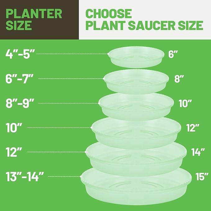 MUDEELA Plant Saucer 6 Pack of 12 inch, Durable Plastic Plant Trays for Indoors, Clear Plastic Flower Plant Pot Saucer, Made of Thicker, Stronger Plastic, with Taller Design
