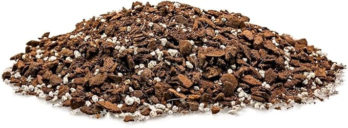 Premium Swiss Cheese Plant Potting Mix - Monstera Deliciosa Blend for Optimal Nutrients and Drainage for Healthy Growth - 1 Quart