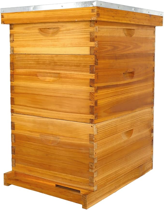 POLLIBEE 10 Frame Langstroth Beehive, Beeswax Coated Bee Hives for Bee Keeper,Beehive Include 2 Deep Bee Boxes and 1 Medium Bee Hive Box with Frame and Foundation(Unassembled)