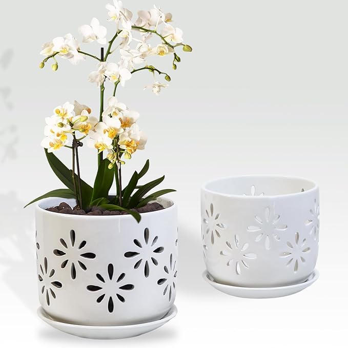 Orchid Pots with Holes, 5+6 Inch Orchid Pots with Drainage Holes and Tray, Effective Drainage and Ventilation to Assist New Plants or Repotting, Indoor/Outdoor Flower Pots -White