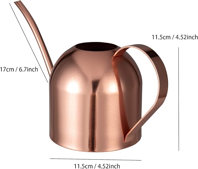 IMEEA Indoor Watering Can for House Plants 33oz/1L Stainless Steel Watering Can with Long Spout (Rose Gold)