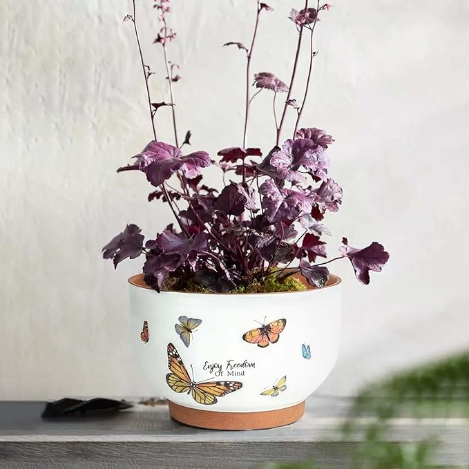 YBX 8 Inch & 6 Inch Terracotta Pots, Plant Pots Indoor, Flower Pots for Indoor Plants with Drainage, Planters with Butterfly Accent for Indoor Plants (Tropical)