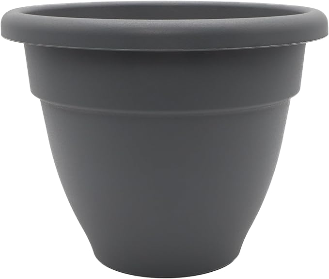 The HC Companies 6 Inch Caribbean Planter - Lightweight Indoor Outdoor Plastic Plant Pot for Herbs and Flowers, Warm Gray
