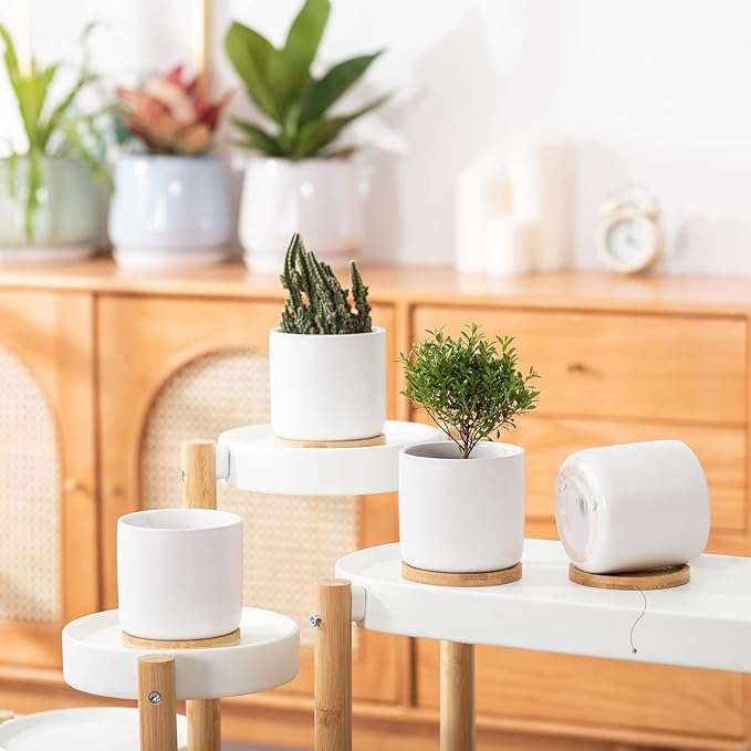OMAYKEY 4 Inch Ceramic Plant Pot with Saucer, White Planters Pots with Drainage Hole and Mesh Pads for Succulent, Snake, Cactus, Herbs - 4 Packs(Plant Not Included)