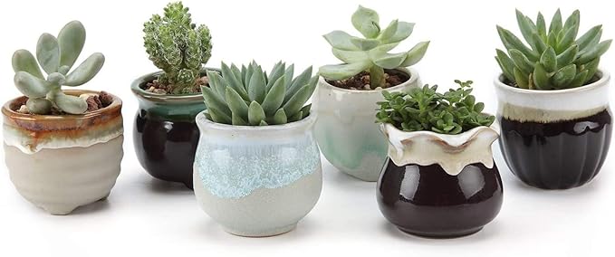 T4U Small Ceramic Succulent Pots with Drainage Set of 6, Mini Pots for Plants, Plant Lover Gifts for Women, Tiny Air Plant Flower Pots Cactus Faux Plants Containers, Home and Office Decor