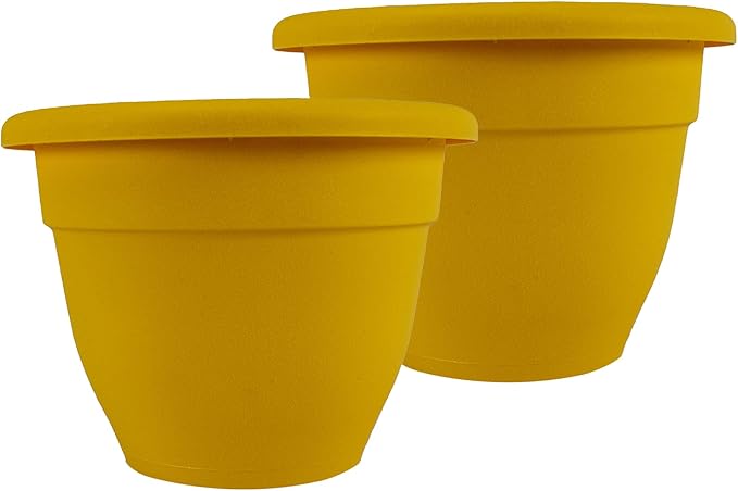The HC Companies Caribbean Planter Pot - Outdoor & Indoor Plant Pot with Drainage Hole & Plug - Rolled Rim Plastic Pots for Plants & Flowers - Decorative Plant Pot (16" Honey, Pack of 2)