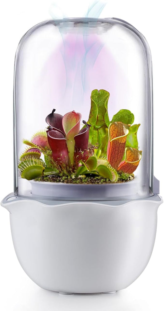 Venus Fly Trap Pot,Smart Planter with Timer and Fan,Small Terrarium Kit with Light and Drainage Hole for Carnivorous Plant,Succulent,Sundew Moss,Cactus,Pitcher(No Plant)