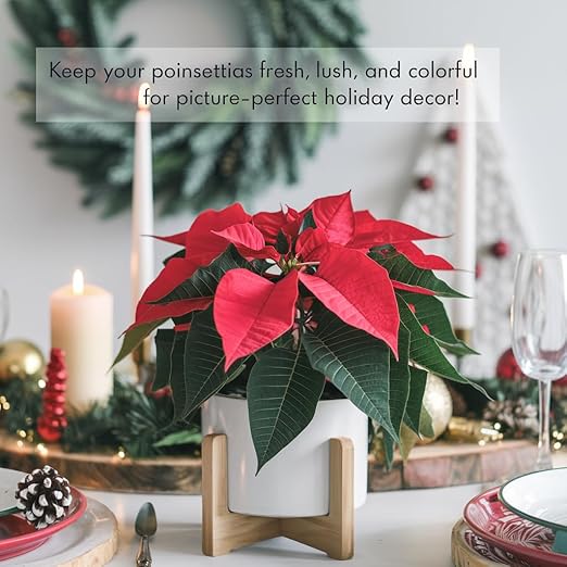 Poinsettia Plant Fertilizer - 3-1-2 NPK - Organic Liquid Plant Food for Christmas Flowers and Trees - 8oz Concentrate