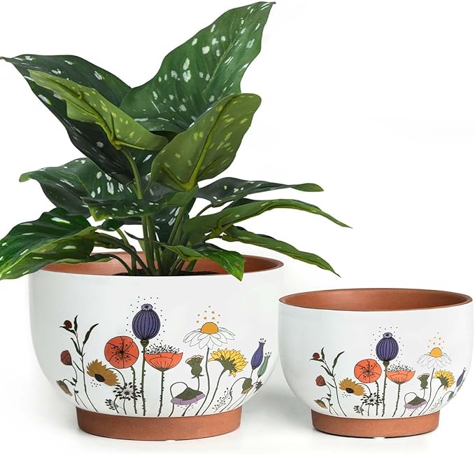 YBX 8 Inch & 6 Inch Terracotta Pots, Plant Pots Indoor, Flower Pots for Indoor Plants with Drainage, Planters with Floral Accent for Indoor Plants (French Country)