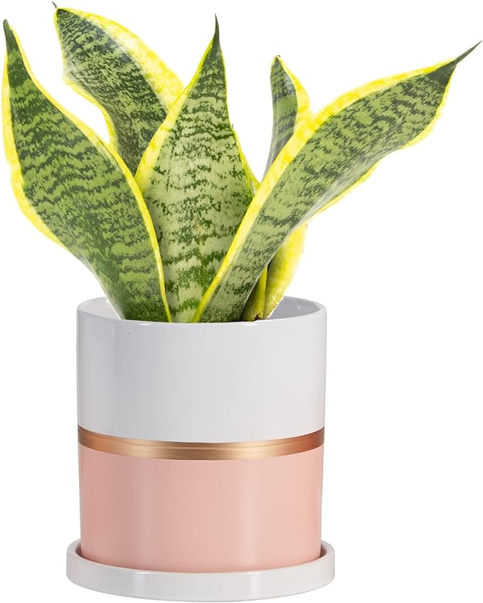 Ekirlin 8 inch Plant Pot - Ceramic Flower Planters Indoor - Modern Succulents Containers with Drain Hole Saucer, Decorate Home, Office & Outdoor (Pink)