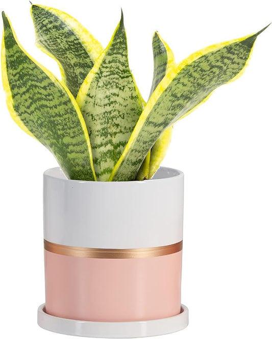 Ekirlin 8 inch Plant Pot - Ceramic Flower Planters Indoor - Modern Succulents Containers with Drain Hole Saucer, Decorate Home, Office & Outdoor (Pink)