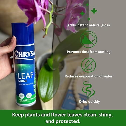 Chrysal Leaf Shine Spray for Indoor Plants – Flower Arrangement Spray for Flower Bouquets, House Plants, & More – Environmentally Safe Plant Cleaner Removes Dust – Flower & Gardening Supplies (2 Pack)
