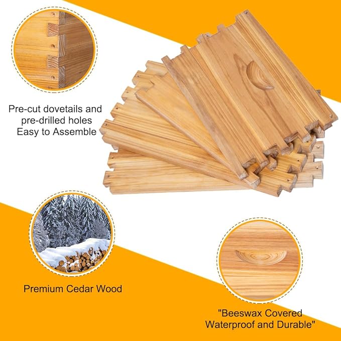 POLLIBEE 10 Frame Bee Hive,Beeswax Coated Beehive Kit for Bee Keeper,Complete Beehive Include 1 Deep Brood Bee Box and 1 Medium Bee Hive Box with Frame and Foundation