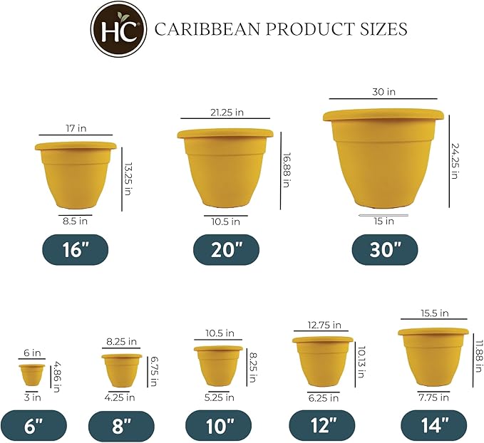 The HC Companies 6 Inch Caribbean Planter - Lightweight Indoor Outdoor Plastic Plant Pot for Herbs and Flowers, Honey