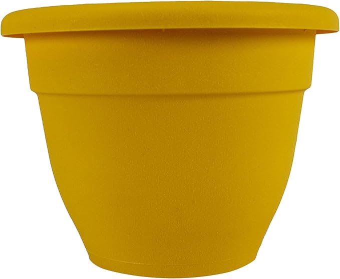 The HC Companies 12 Inch Caribbean Planter - Lightweight Indoor Outdoor Plastic Plant Pot for Herbs and Flowers, Honey