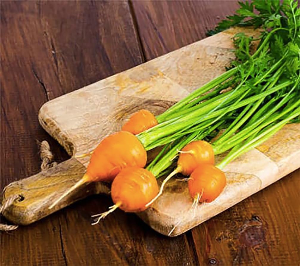 Round Baby Parisian Carrots Seeds A Delicacy Prised by Gourmet Restaurants Delicious Carrot Vegetable - 1000 Seeds