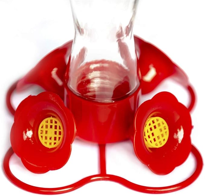 Nature's Rhythm Bird Feeder 4 bee Guard Plastic Feeding Port 8oz Glass Pinch Waist Hummingbird Feeder,1pcs