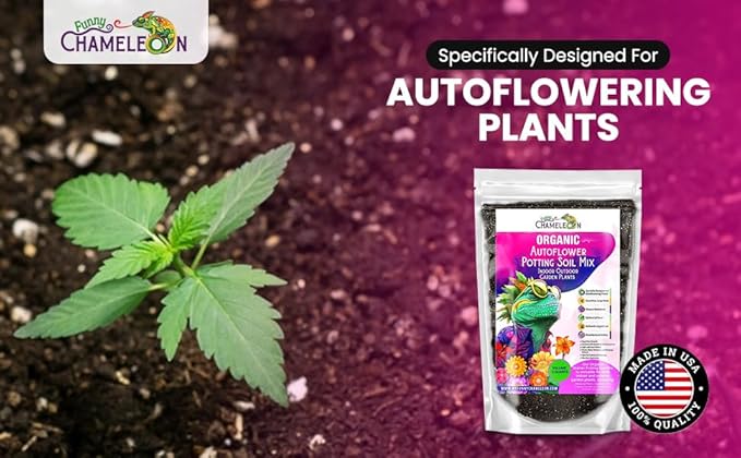 Organic Autoflower Potting Soil Mix – Ready-to-Use Living Soil, No Fertilizers Needed – Balanced Nutrients, Light Texture, Excellent Drainage, Boosts Germination & Root Growth (10 quarts)