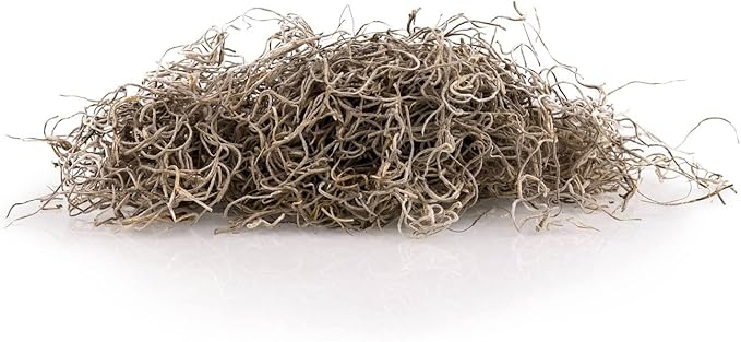 Premium Natural Spanish Moss | Natural Preserved - 20 Quart - Great Ground Cover - Filler for Potted Plants (4 Bags of 5 Quart)