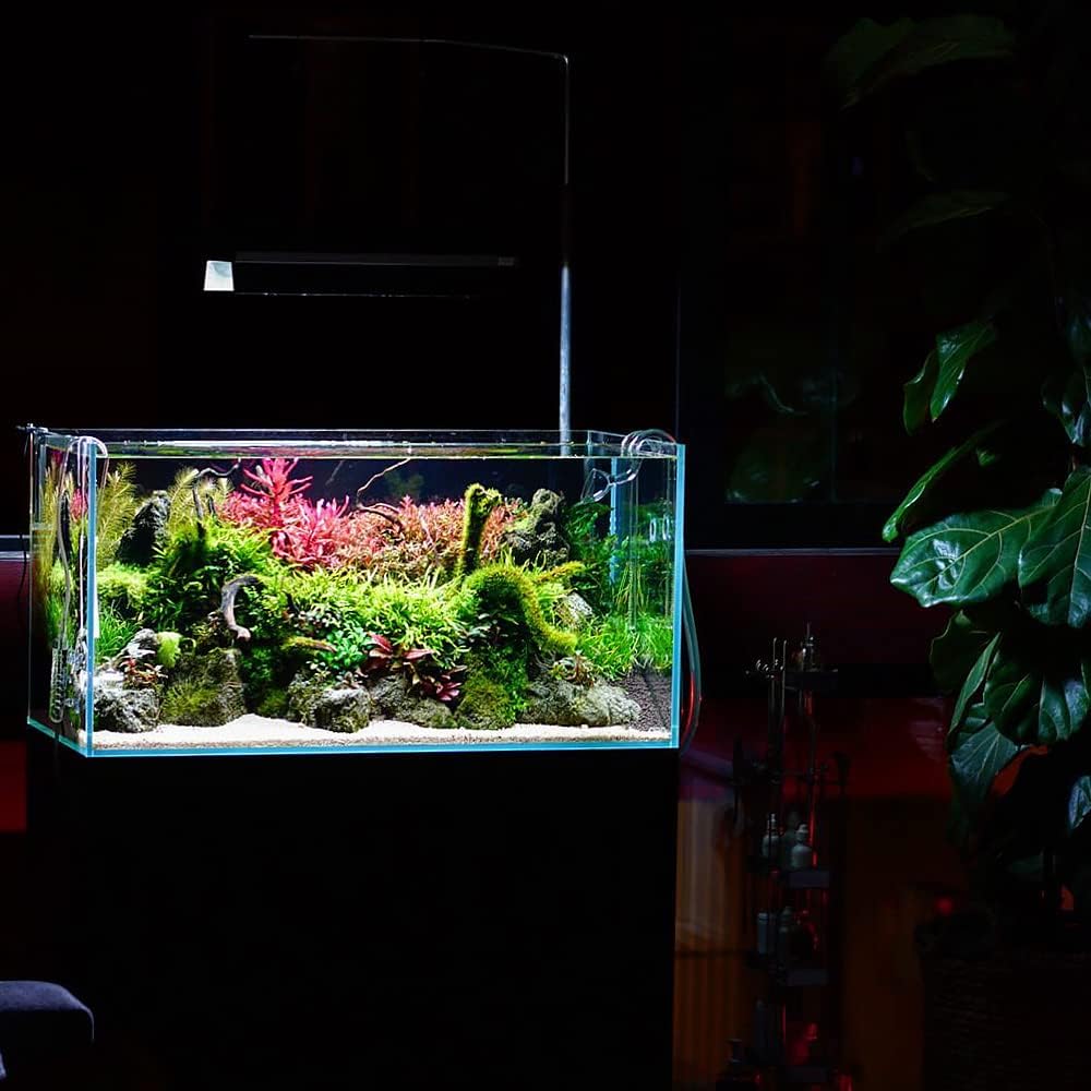 Live Aquarium Red Stem Plants - Freshwater Aquatic Plant for Fish Tanks, Aquascaping - (Rotala Wallichii, 4 Bunches)