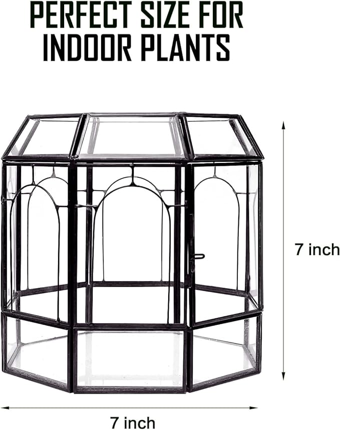 Large Glass Terrarium Handmade, Centerpiece Display Box Gift Planter Containers Indoor Terrariums House for Succulent Cacti Air Plants Miniature Fairy Garden